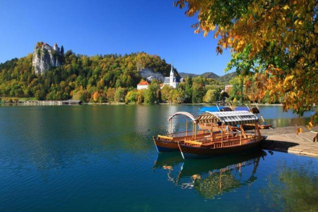 Mia Dream Appartement Bled Buitenkant foto