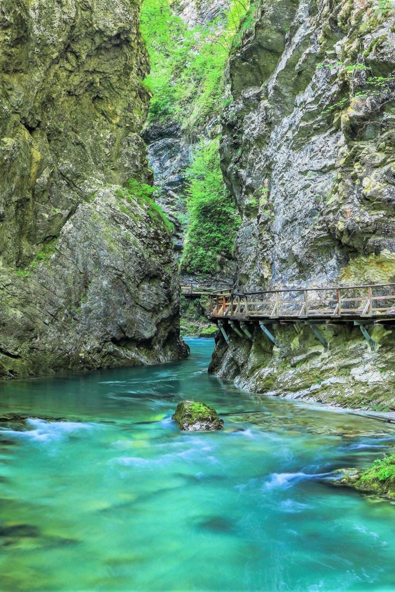 Mia Dream Appartement Bled Buitenkant foto