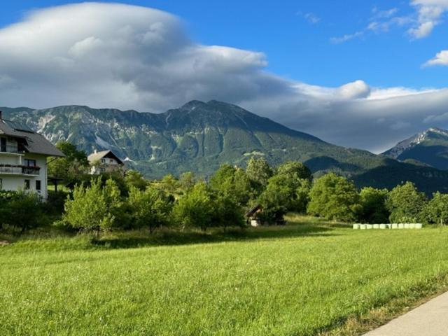 Mia Dream Appartement Bled Buitenkant foto